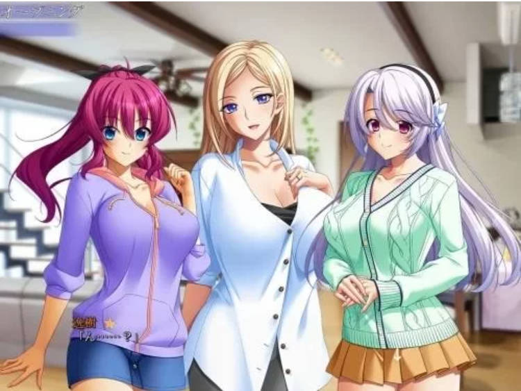 家庭隶属物语 (4)